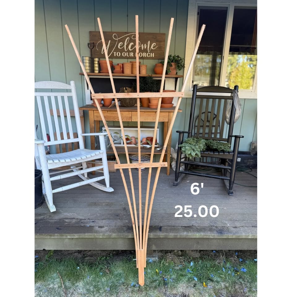 Trellis
