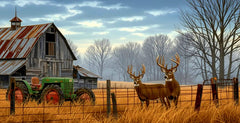 Old barn