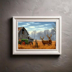 Old barn